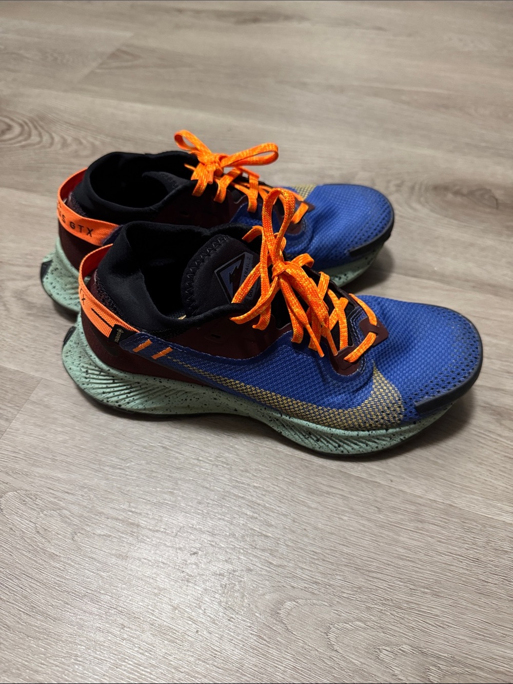 Nike Pegasus Trail 2 GORE-TEX